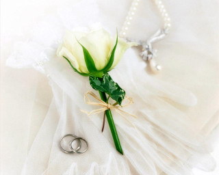 White rose wedding rings pearl - ring free wallpaper