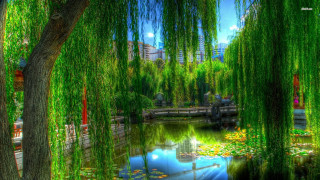 Pond bridge trees building sky - a sky free wallpaper for desktop