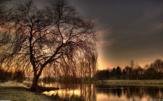 Tree grass water sunset dawn 2 - anton graff free wallpaper for desktop