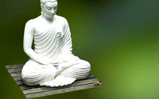 White buddha statue green background - figurine free wallpaper
