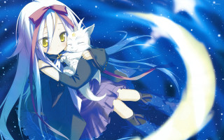 Girl cat night sky stars - a night sky free wallpaper