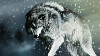 Wolf walking through snow night - a wolf free wallpaper