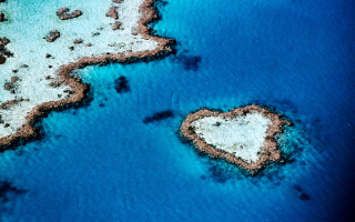 Heart shaped reef ocean blue - white sand free wallpaper