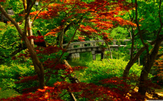 Bridge park trees flowers bench - choi buk free wallpaper for desktop