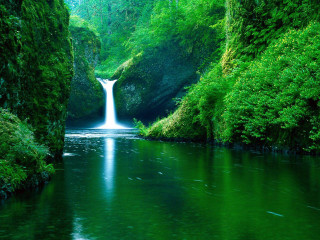 Waterfall green forest stream nature 10 - a waterfall in the middle of it free wallpaper