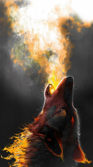 Wolf fireball head open mouth - its head on free wallpaper for mobile