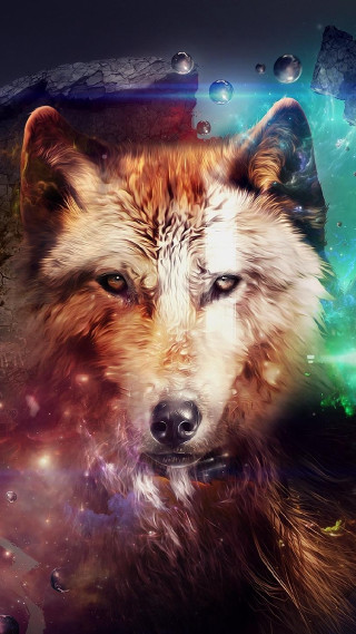 Wolf colorful background space stars - a wolf free wallpaper for mobile