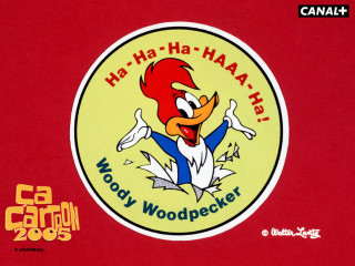 Woody woodpecker rooster sticker comic - head and the words free wallpaper