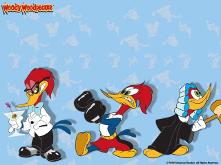 Cartoon birds different outfits colorful - different outfit and colors free wallpaper