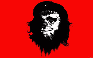 Bearded man with multiple beards - a beard and a beard free wallpaper