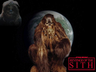 Chewchew planet starwars serial art - a star wars character free wallpaper