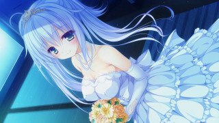 Woman long white hair flower - a window free wallpaper