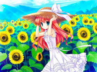 Girl sunflower field hat dress - her shoulder free wallpaper
