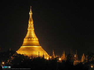 Golden building spire night lights - golden free wallpaper for desktop