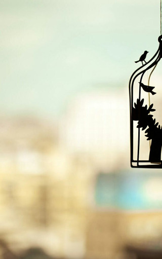 Bird birdcage wire city daytime - a wire free wallpaper