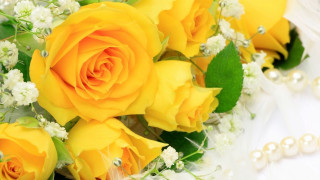 Yellow roses white flowers bouquet - a pearl necklace free wallpaper