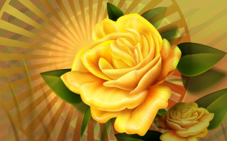 Yellow rose green leaves sunburst - a yellow rose free wallpaper