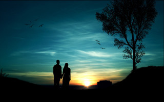 Couple under tree sunset birds - evening free wallpaper