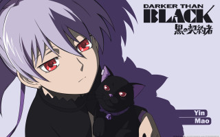 Person cat purple background darker - english free wallpaper
