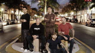 Men bench night street palm - promotional free wallpaper for desktop