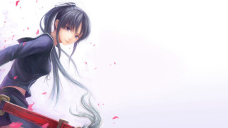 Woman long hair suitcase fantasy - a white background behind her free wallpaper