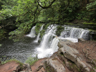 Waterfall forest rocks trees stream 14 - a waterfall in a forest free wallpaper