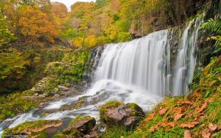 Waterfall forest trees leaves rocks - a waterfall in the middle of a forest free wallpaper