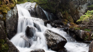 Waterfall forest rocks trees water - a waterfall in a forest free wallpaper