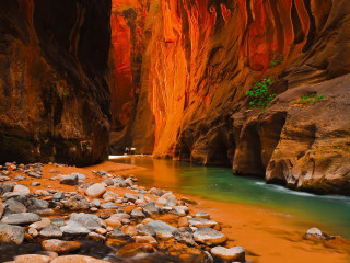 River canyon rocky shore trees - a canyon next free wallpaper