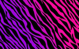 Zebra print black background pink - the left side of the image free wallpaper