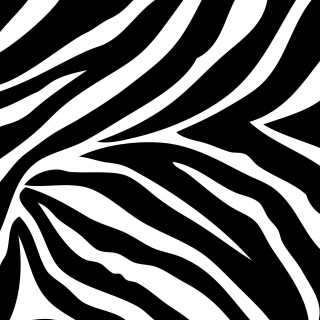 Zebra print pattern black white 3 - the left side of the image free wallpaper for tablet