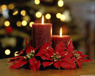 Candles table christmas tree lights - a christmas tree free wallpaper for desktop