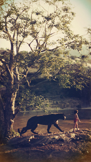 Woman horse field tree river - a horse free wallpaper for mobile