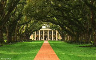 Brick path white house trees 2 - both side of it free wallpaper