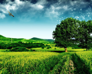 Plane over lush green field - cinematic matte painting free wallpaper