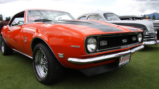 Red car parked lush green - a car show free wallpaper