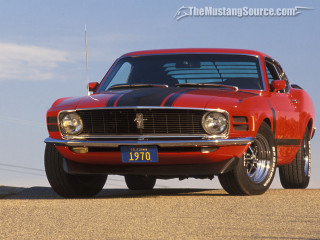 Red mustang black stripe hood - the front of its free wallpaper
