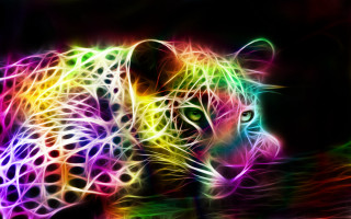 Colorful animal black background rainbow - neon color free wallpaper