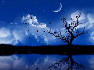 Tree lake crescent moon birds - arthur pan free wallpaper