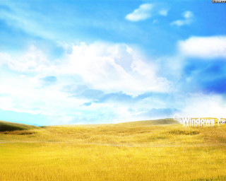 Field blue sky clouds yellow - a white sign free wallpaper