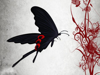 Black butterfly red accents red - its wing free wallpaper