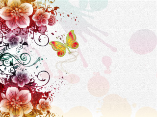 Colorful floral background butterflies flowers - floral free wallpaper