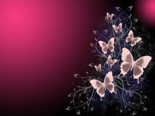 Butterflies purple background pink light - plain background free wallpaper for desktop