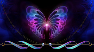 Butterfly purple blue wings black 3 - swirl free wallpaper for desktop