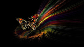 Butterfly colorful swirl wings image - a colorful swirl free wallpaper