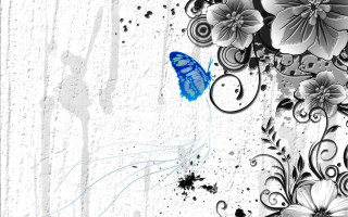 Blue butterfly white wall flowers - a blue butterfly free wallpaper