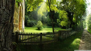 Fence tree stonewall grassyfield gothic - a wooden fence free wallpaper