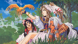 Anime girls grass bird arm - an album cover free wallpaper for desktop