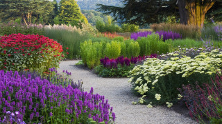 Garden gravel path colorful flowers - blunt border free wallpaper