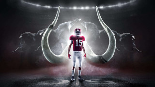 Man football uniform bull horns 2 - horn free wallpaper for desktop